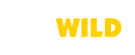 gowild-casino