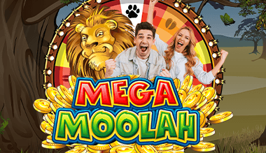 Mega Moolah Winners